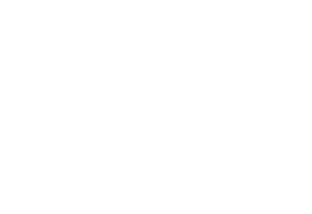 Nice_Logo.svg